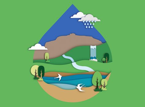 Banner de la Setmana del Medi Ambient de Terrassa 2022