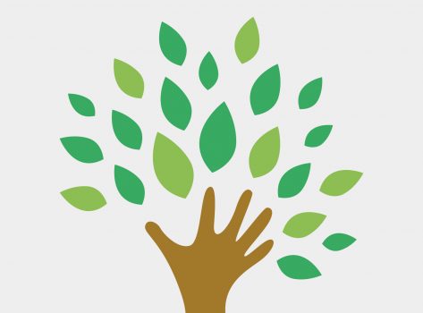 Logotip de l’Associació Plaça Farga